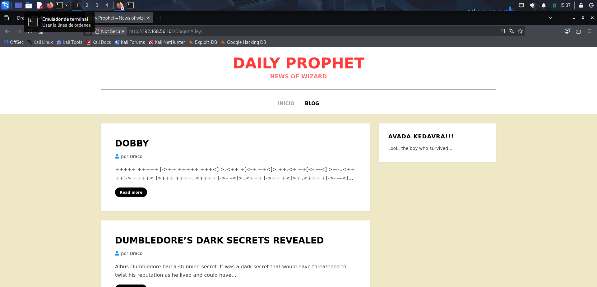 Acceso a la instancia WordPress ubicada en DiagonAlley
