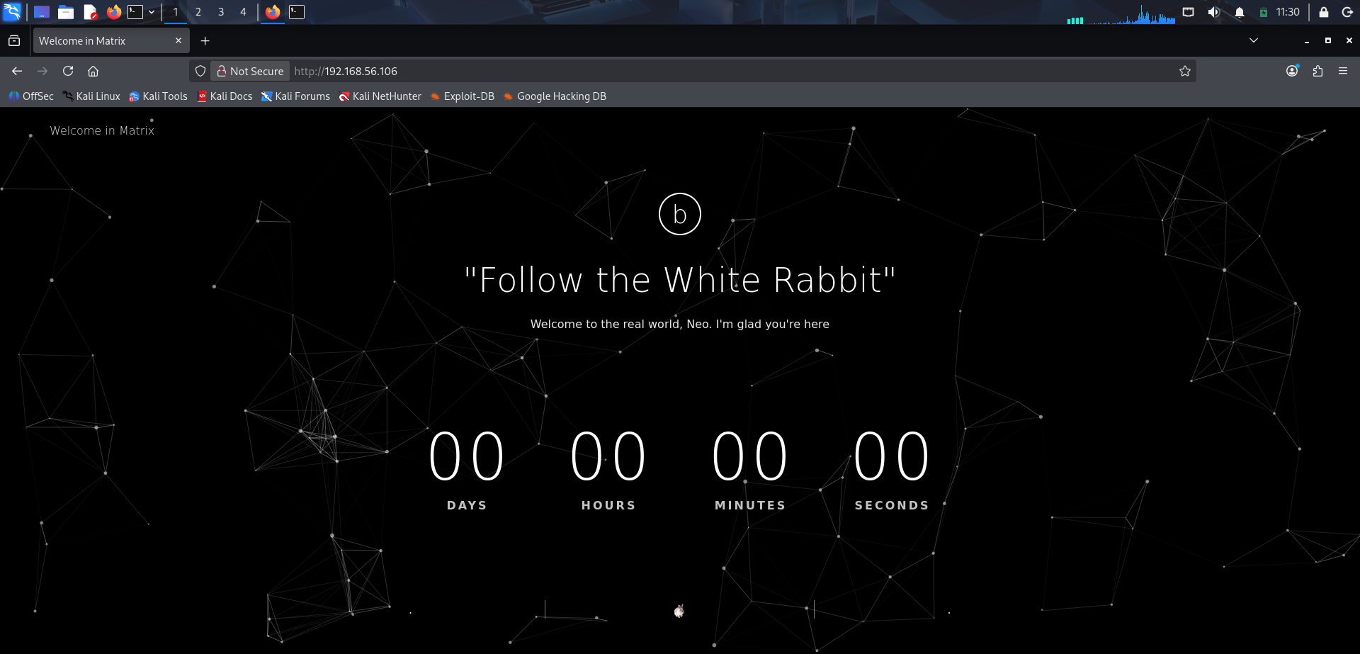 Página principal del objetivo con temática de Matrix