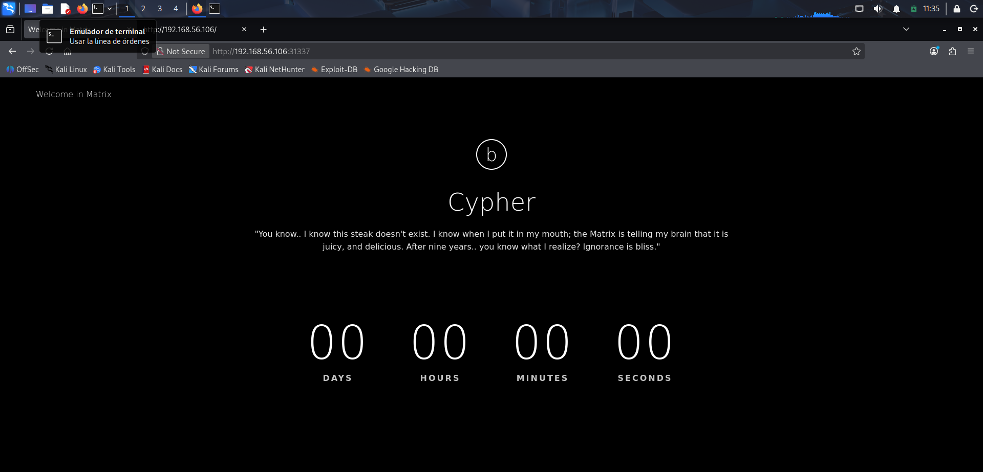 Acceso al servicio web expuesto en el puerto 31337