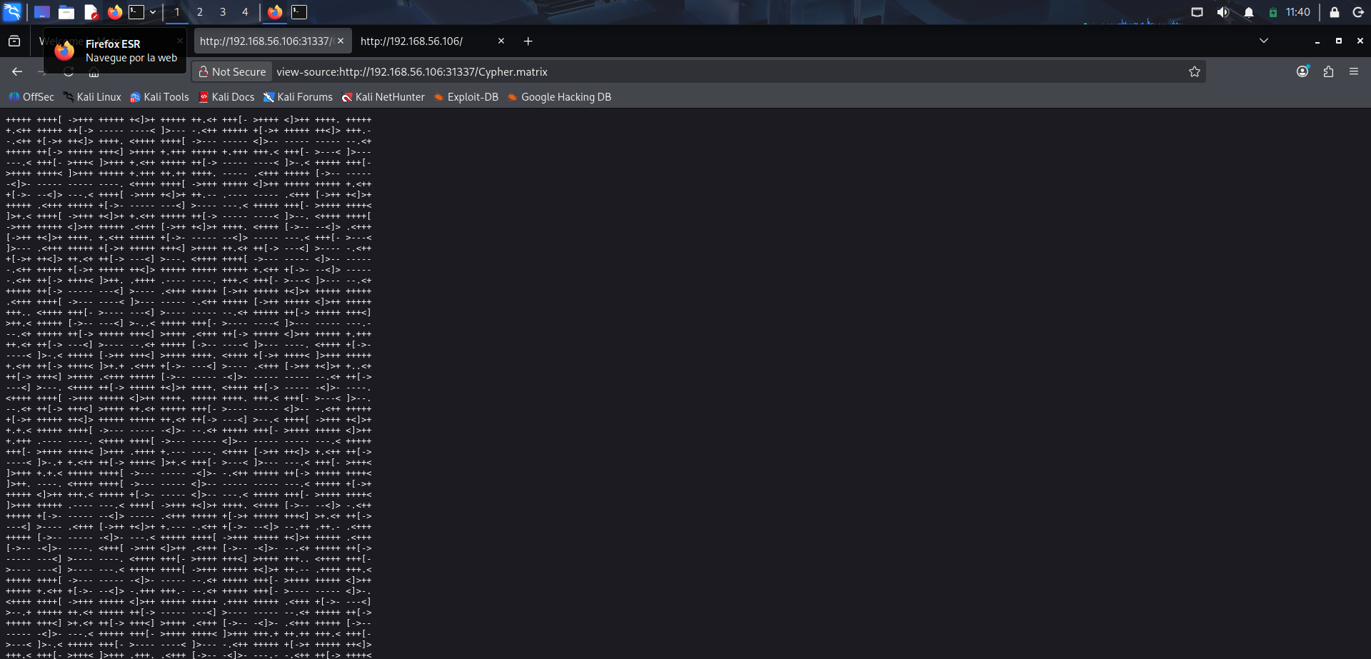 Visualización del contenido del archivo identificado como Brainfuck
