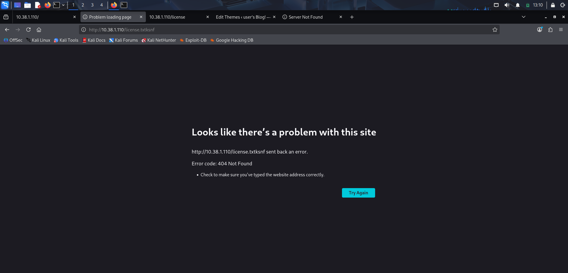 Activación del 404.php modificado para lanzar la reverse shell