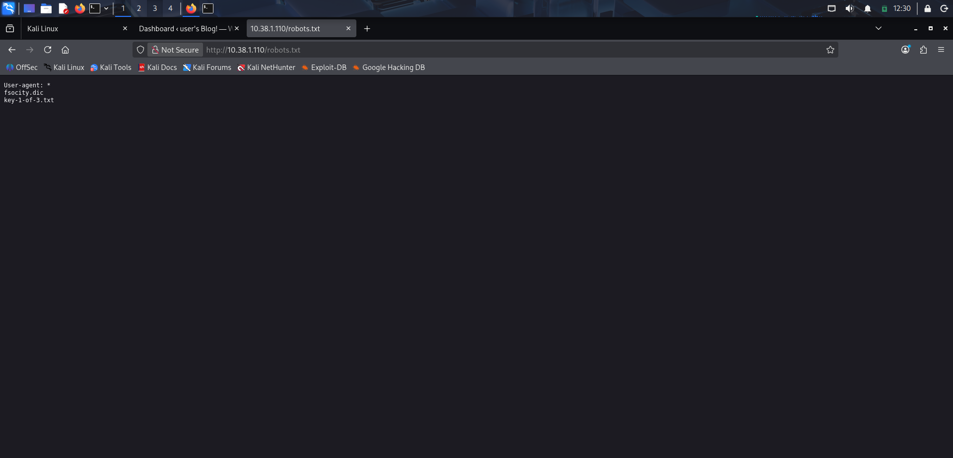 Contenido del archivo robots.txt con rutas ocultas