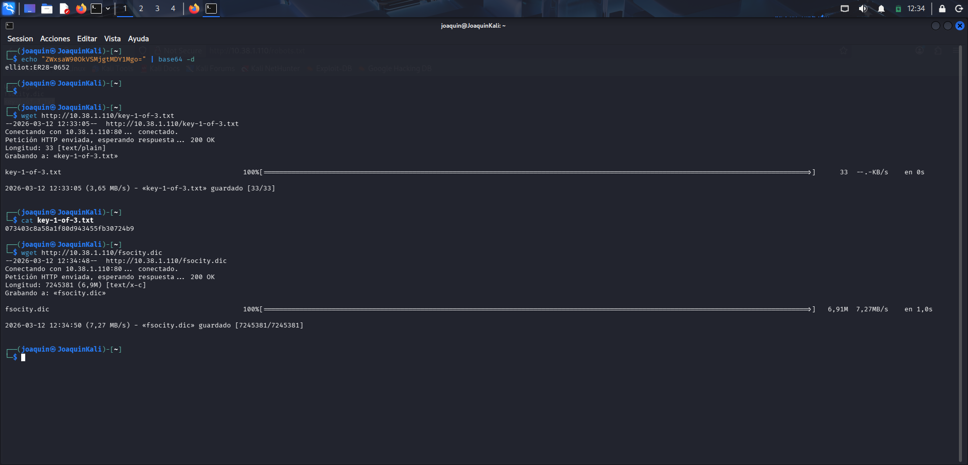 Descarga del diccionario fsocity.dic
