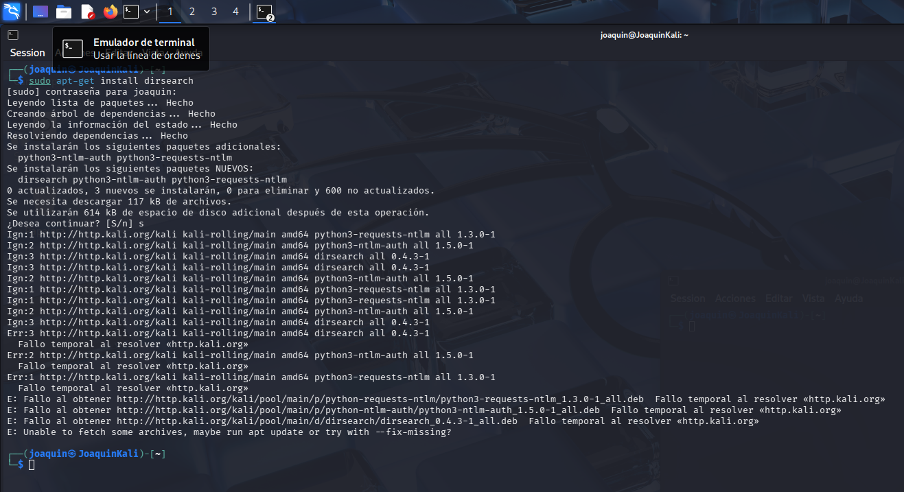 Error al instalar dirsearch por falta de resolución DNS en Kali