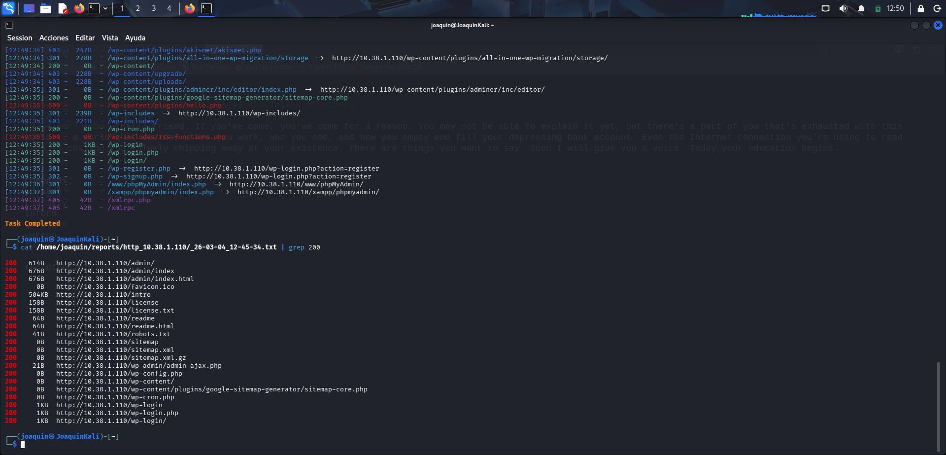 Filtrado de respuestas HTTP 200 en resultados de dirsearch
