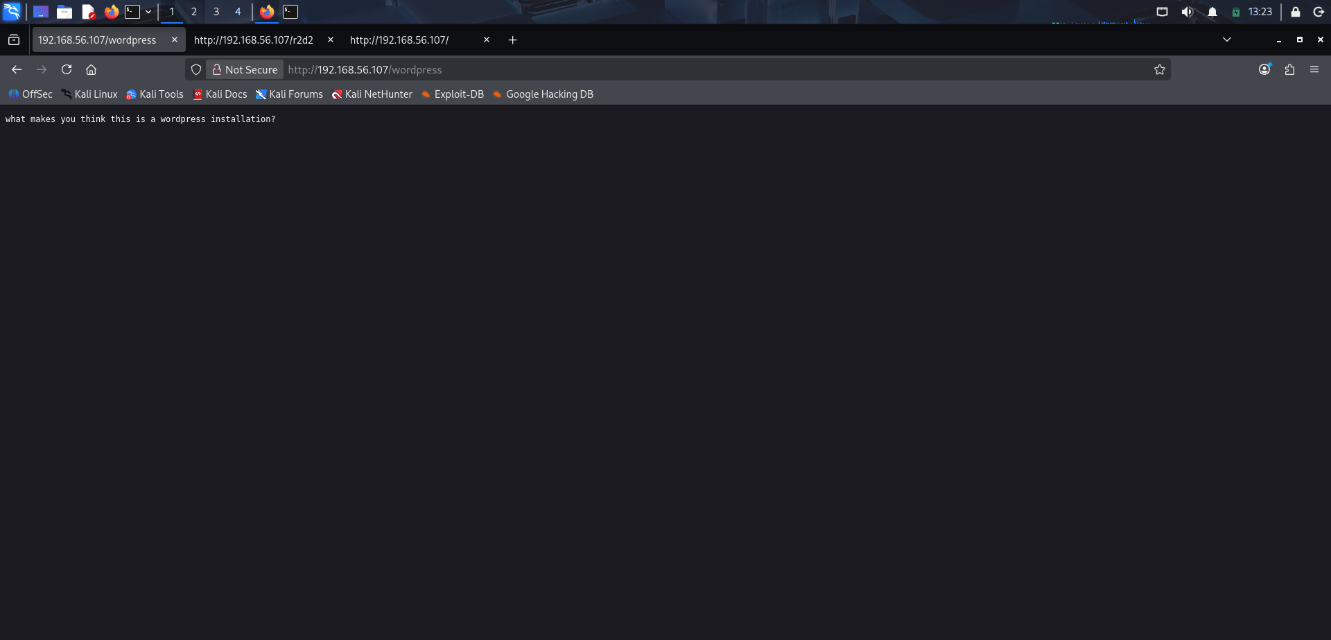 Visita a la ruta wordpress
