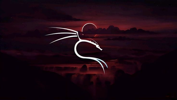 Imagen de la sección Kali Linux