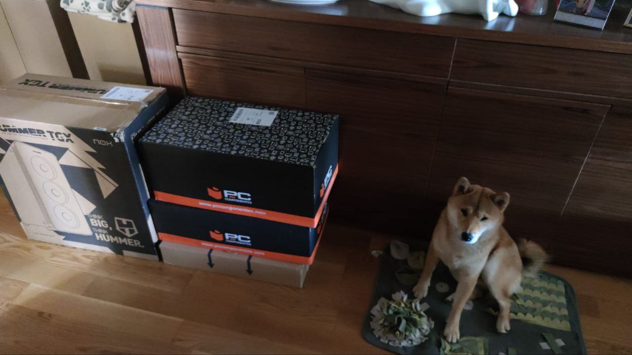 Momento en el que llegó todo el material