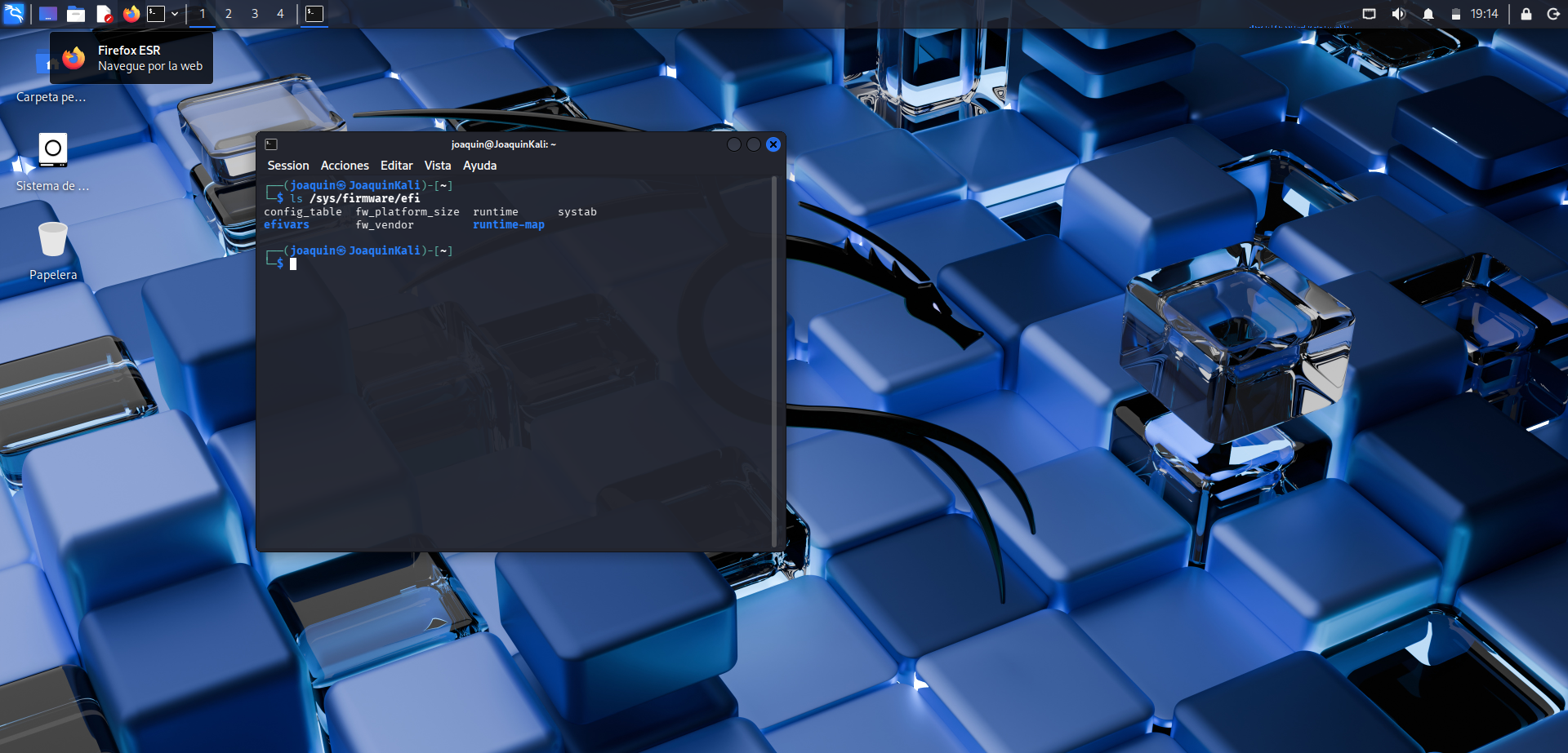 Verificación de Kali Linux instalado en modo UEFI