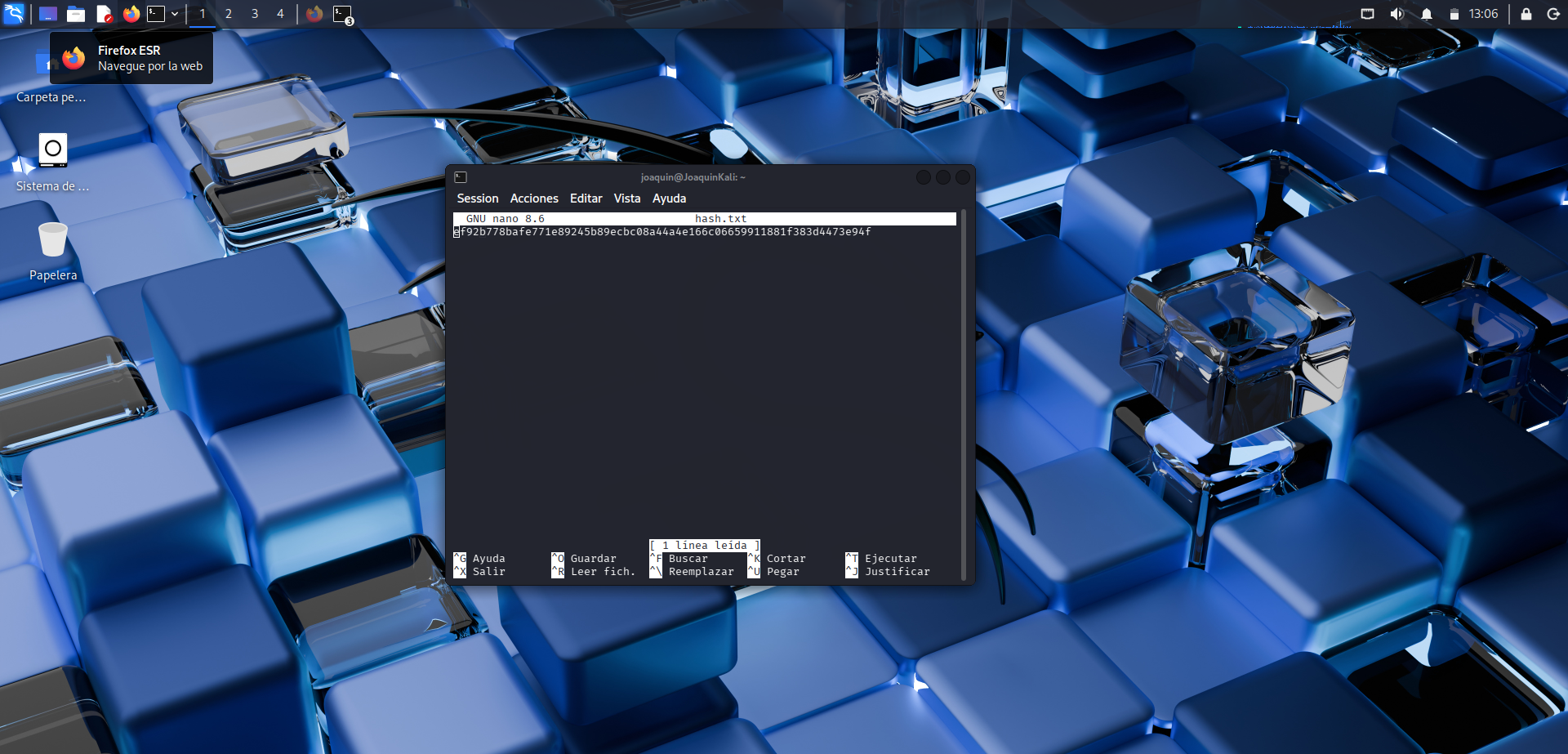 Copia del hash generado en un archivo de texto
