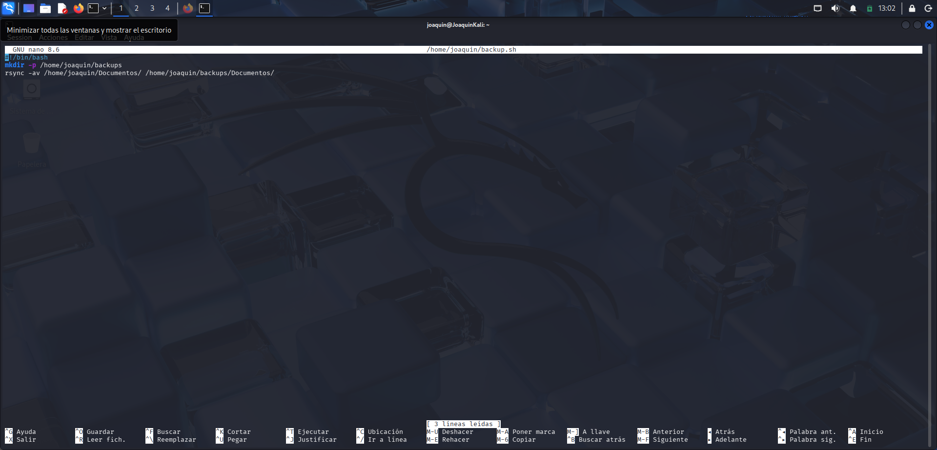 Escritura del contenido del script backup.sh en Nano