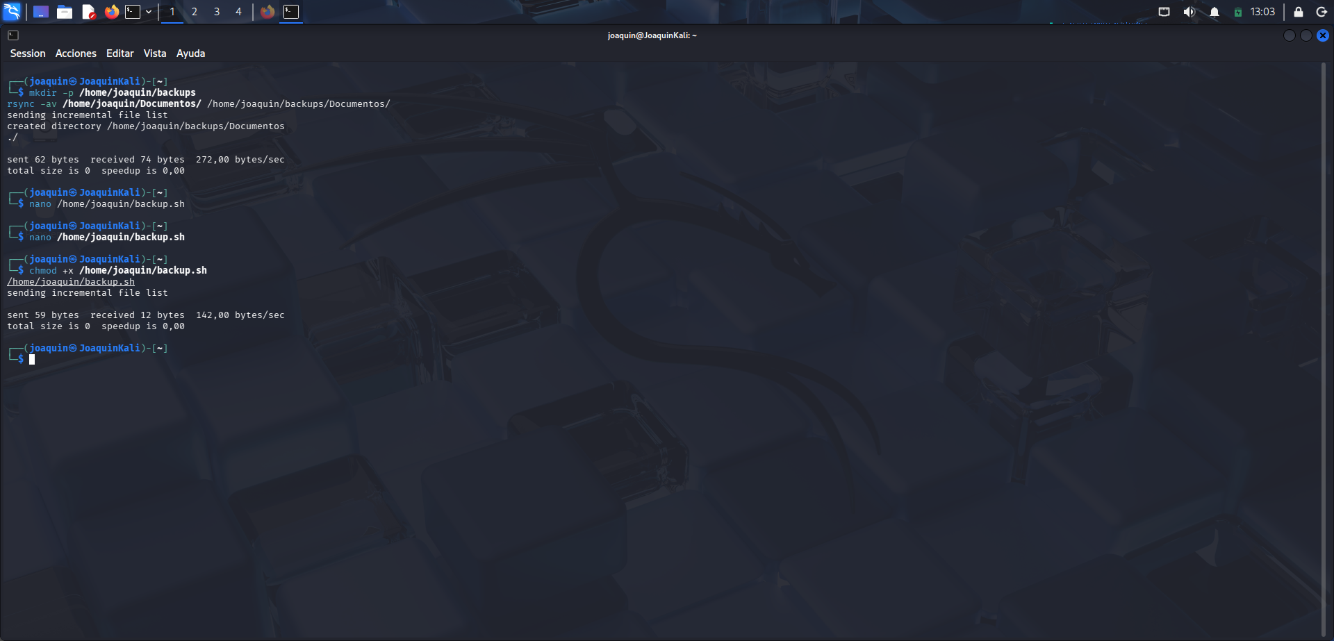 Permiso de ejecución del script y prueba inicial