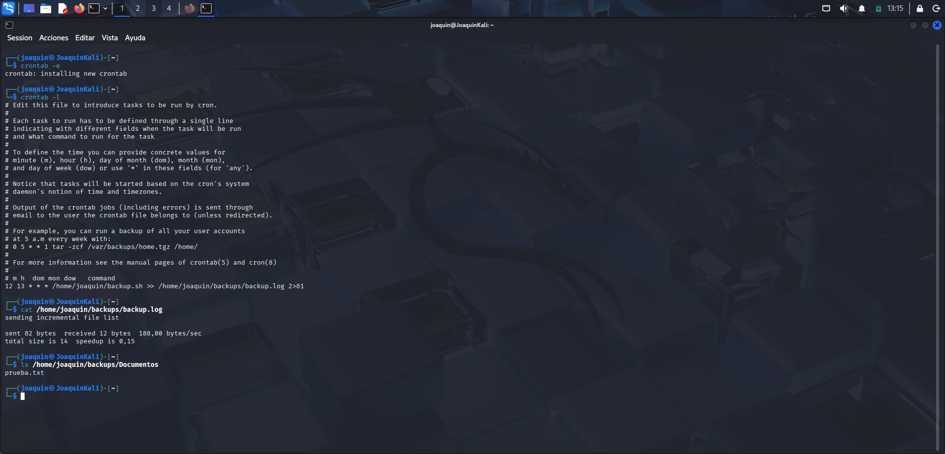 Verificación final del log y de la copia de seguridad automática