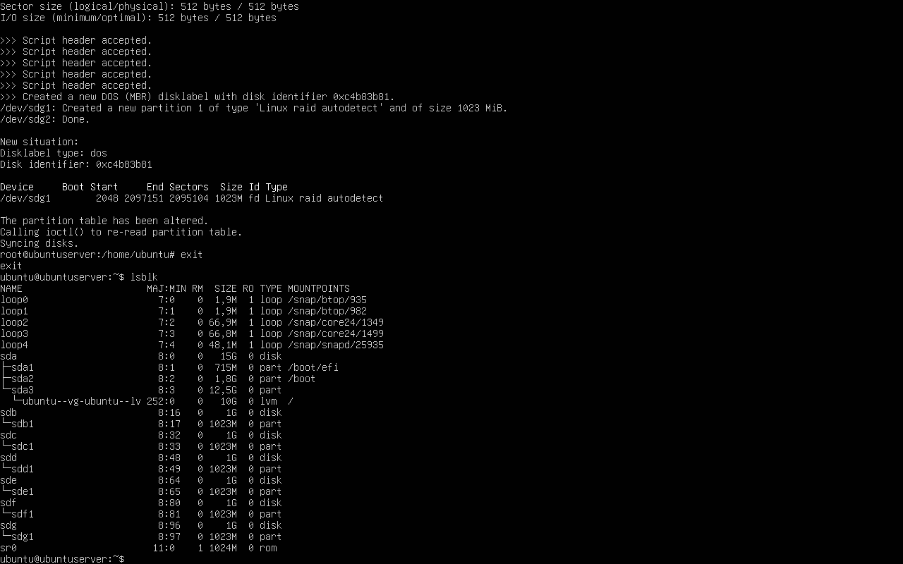 Verificación con lsblk de todas las particiones creadas para el RAID