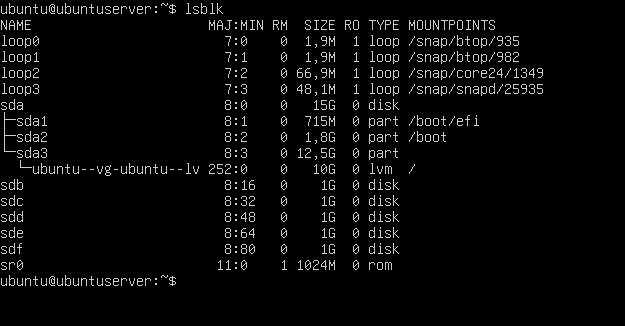 Listado de discos detectados en Ubuntu con lsblk
